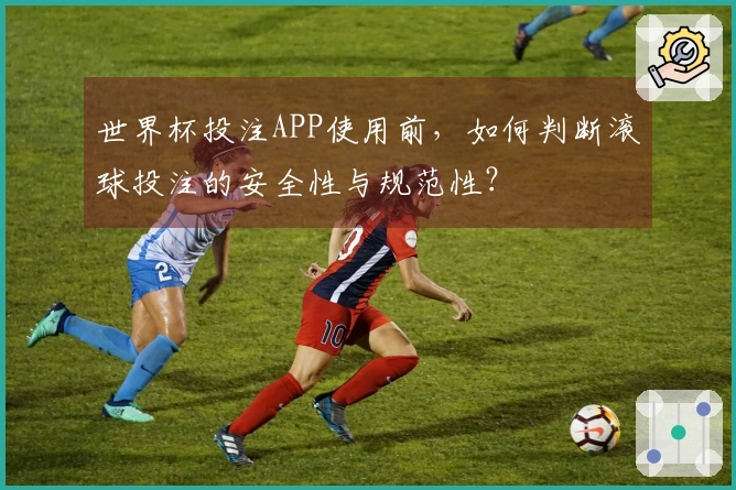 世界杯投注APP使用前，如何判断滚球投注的安全性与规范性？