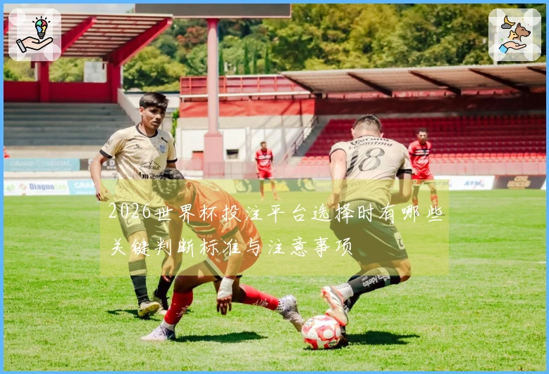 2026世界杯投注平台选择时有哪些关键判断标准与注意事项