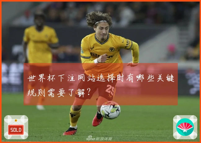 世界杯下注网站选择时有哪些关键规则需要了解？