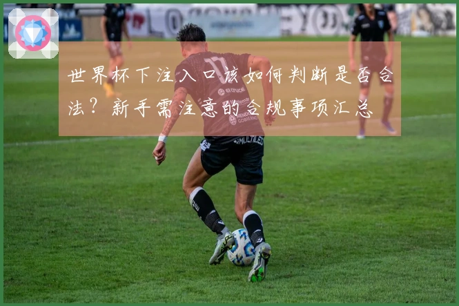 世界杯下注入口该如何判断是否合法？新手需注意的合规事项汇总