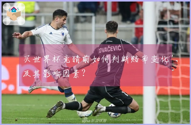 买世界杯竞猜前如何判断赔率变化及其影响因素？